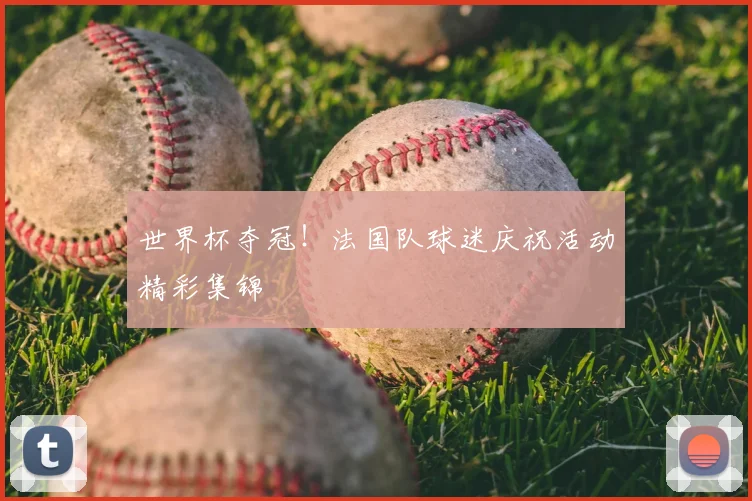 世界杯夺冠!法国队球迷庆祝活动精彩集锦