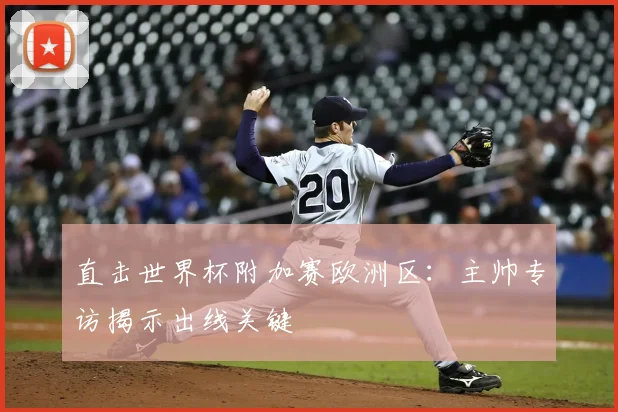 直击世界杯附加赛欧洲区：主帅专访揭示出线关键